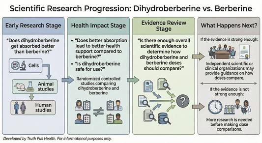 Infographic showing the scientific research progression for dihydroberberine vs. berberine, from absorption studies to human trials, evidence review, safety, and dose-comparison guidance.