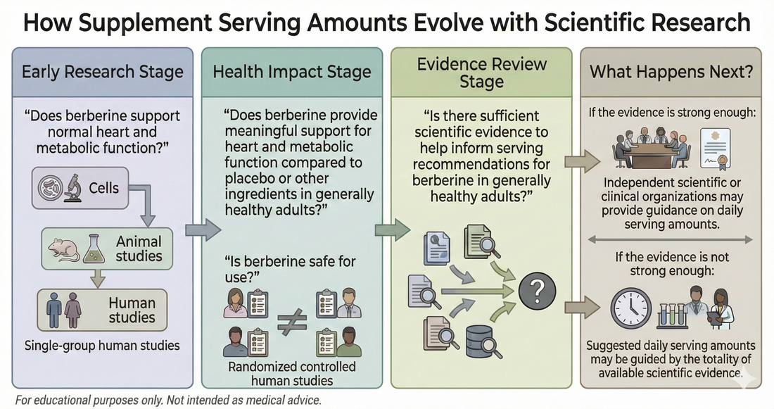 Infographic showing how berberine serving recommendations evolve from cell and animal studies to human trials, evidence review, and scientific guidance.