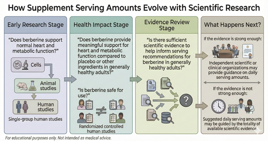 Infographic showing how berberine serving recommendations evolve from cell and animal studies to human trials, evidence review, and scientific guidance.