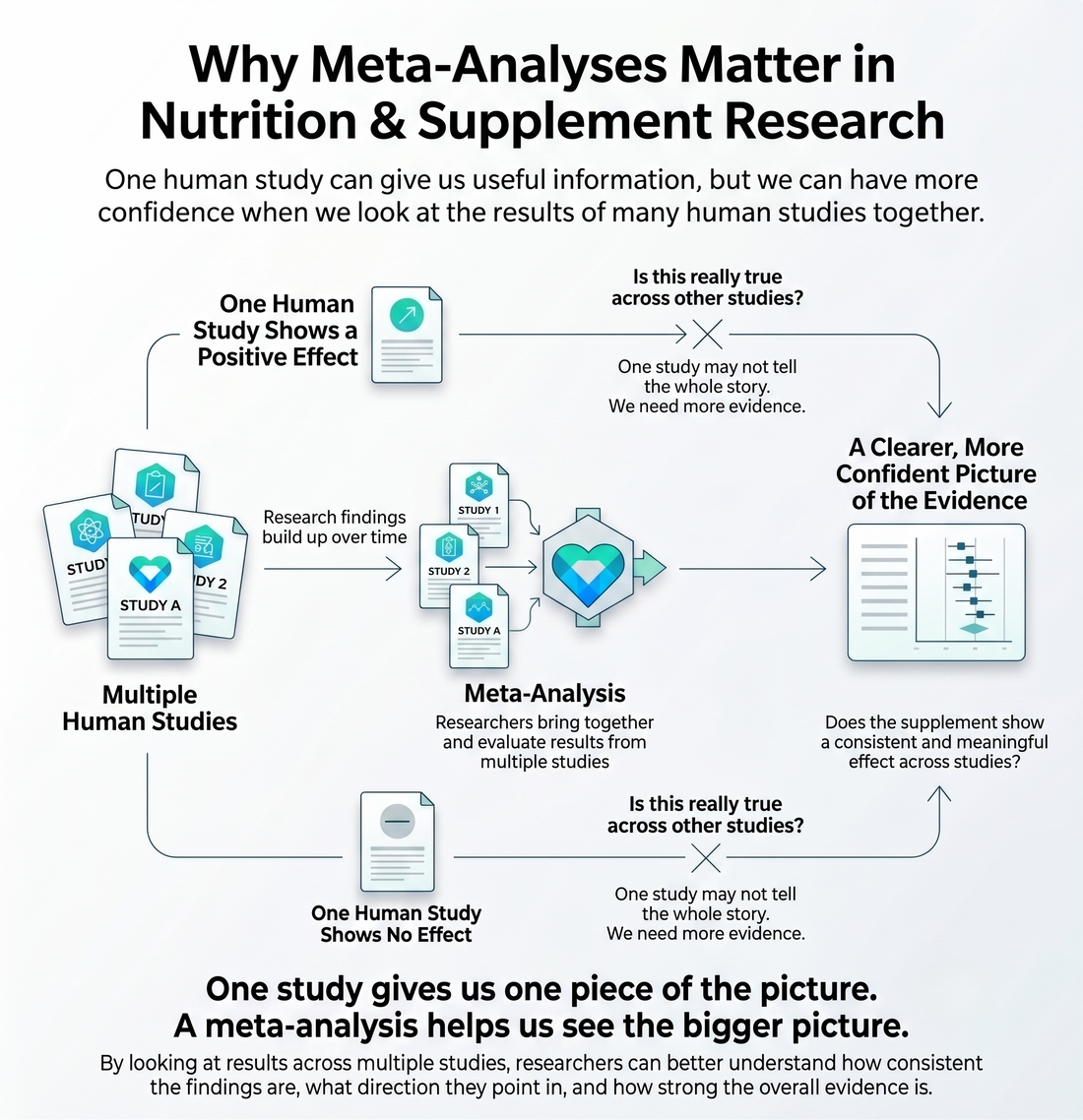 Infographic explaining why meta-analyses matter in nutrition and supplement research by combining results from multiple human studies to evaluate overall evidence.