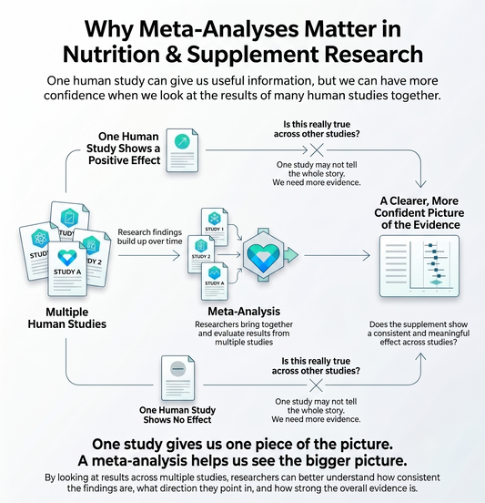 Infographic explaining why meta-analyses matter in nutrition and supplement research by combining results from multiple human studies to evaluate overall evidence.