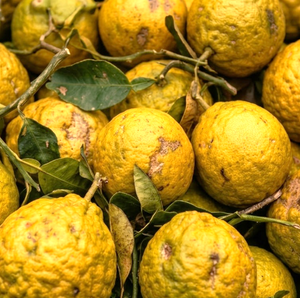 BPF® (Bergamot Polyphenolic Fraction)